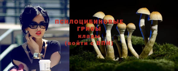 стафф Алексин