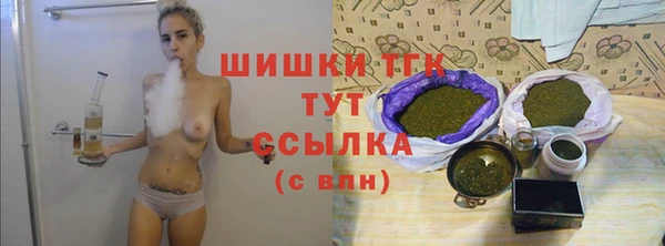сатива Абаза