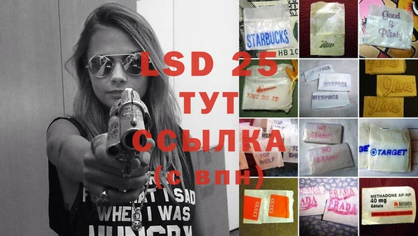 сатива Абаза